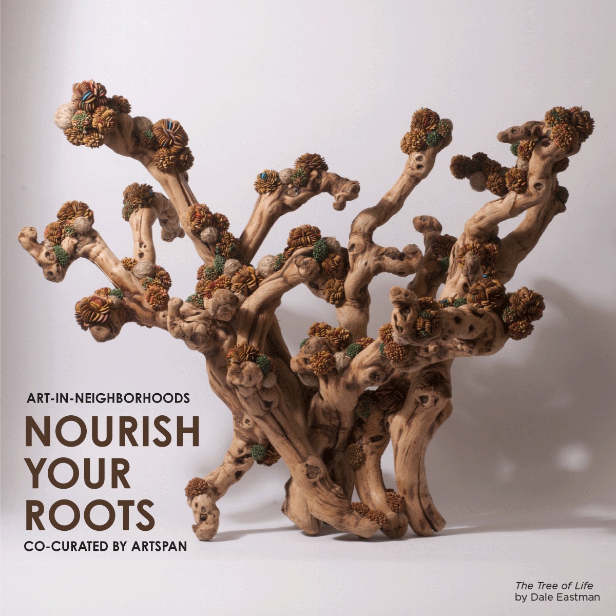 Nourish Your Roots - AIN @ JCCSF