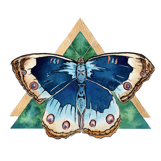 Butterfly Angle by Oscar Boberg